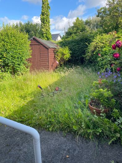 Grass Cutting & Garden Maintenance