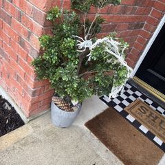 faux tree and pot