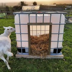 Ibc Dog kennel/ Calf-sheep-pig hutch. Free delivery