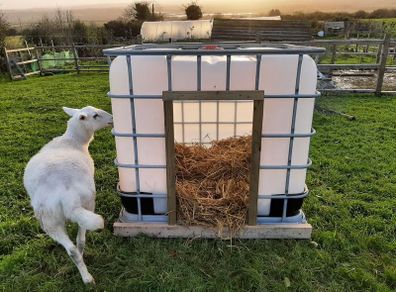 Ibc Dog kennel/ Calf-sheep-pig hutch.