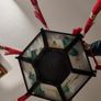 Chinese Lantern Image 5