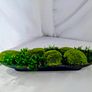 Handmade home deco-  preserved moss Image 7