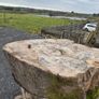 Beach tree slabs 250 years old Image 2