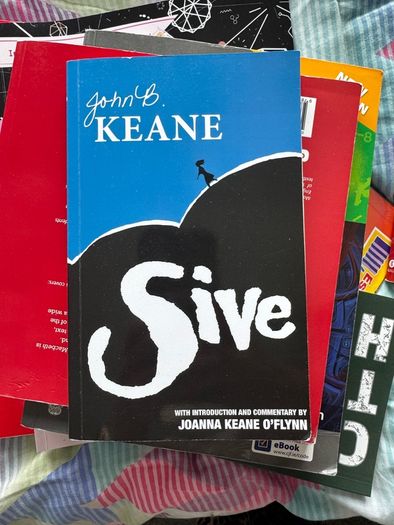Leaving cert books