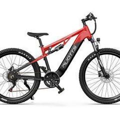 DUOTTS E29 Electric Bike