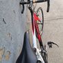 adult giant road bike Image 2