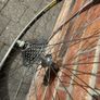 mavic wheels Image 5