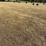 Haylage Image 6