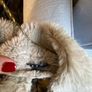 Sisley Sheepskin Style Jacket Size 12 Image 8