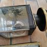 Coach Carriage Lamps Image 9