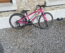 Forme Kinder Junior 24 MTB Bike Pink