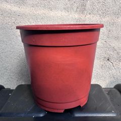 Plastic terracotta flower pot