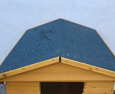 pet kennel