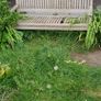 Garden Bench Image 3