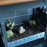 Indoor Garden Image 3