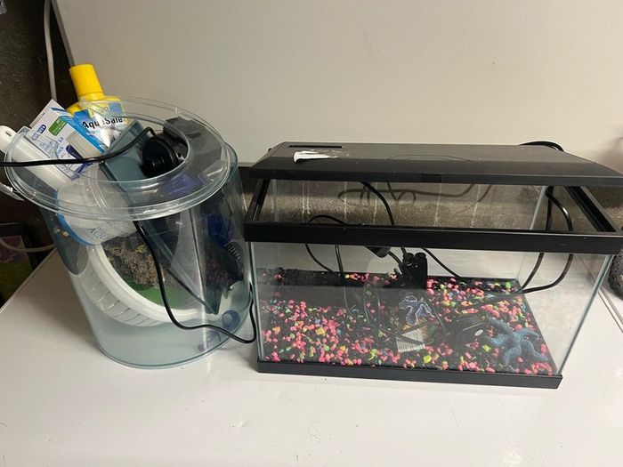 Fish tank & accessories