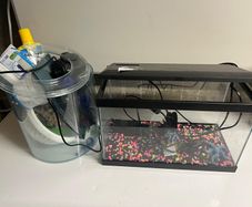 Fish tank & accessories
