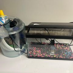 Fish tank & accessories