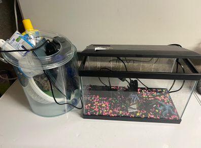 Fish tank & accessories