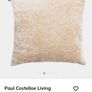 Paul Costello Cushions for 50 for both Image 3