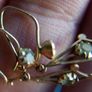 Vintage 9ct Gold 375 Earrings 0,6g Image 6