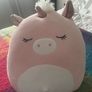 Large soft toy/plush bundle Image 2
