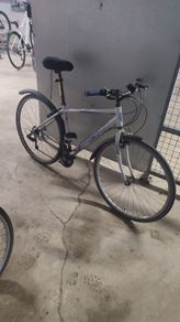 Apollo Transfer Adult Bike