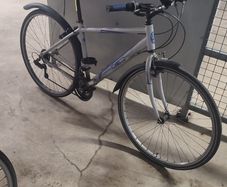 Apollo Transfer Adult Bike