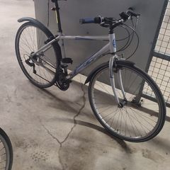 Apollo Transfer Adult Bike