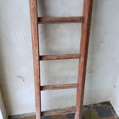 short ladder 130 cms in length