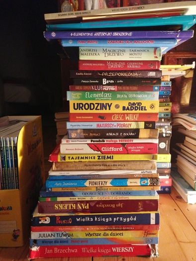 books - polish language