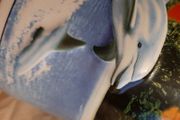 New collectable 3D dolphins mug from Vegas