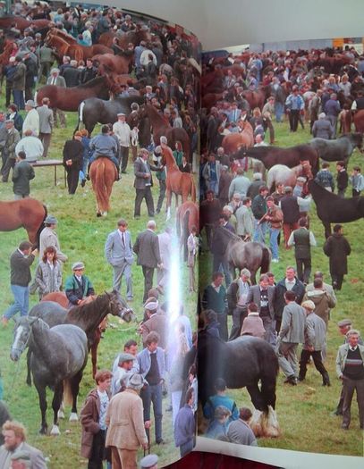 The World of The Irish Horse / 1992
