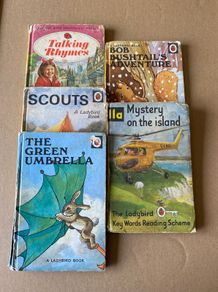 Vintage Ladybird Books Bundle Matt Covers