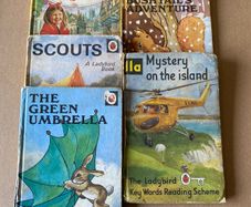 Vintage Ladybird Books Bundle Matt Covers