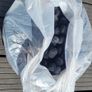 10litre Aquarium Reef Tank Bio Balls Mesh Bag Filter Media Wet/Dry Koi Fish Pond Image 2
