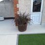 whiskey barrel planters Image 2