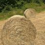 Round bales of Hay Image 3