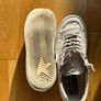 Golden goose Image 3