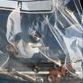 Bmw 1 series roof racks Image 2