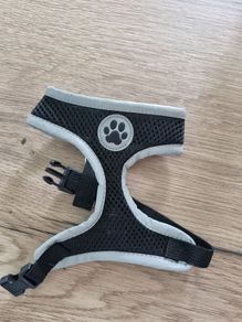 Puppy Harness