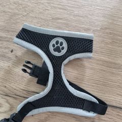 Puppy Harness