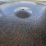 Sabian HH 22" King Ride Image 5