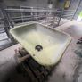 6CWT BMC Wagtail Fertiliser Spreader Image 5