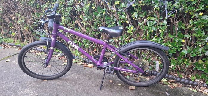 Frog 55 kids bike