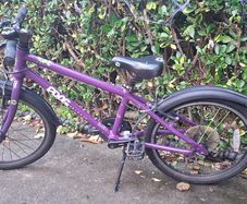 Frog 55 kids bike