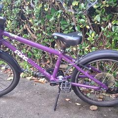 Frog 55 kids bike