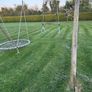 wooden swing set Image 4