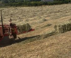 Small square Hay bales
