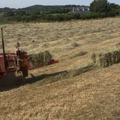 Small square Hay bales